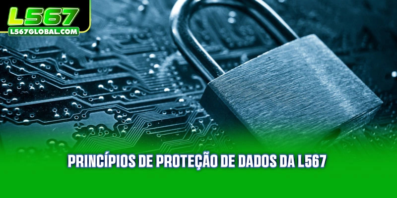 Privacidade 1 Princípios de proteção de dados
