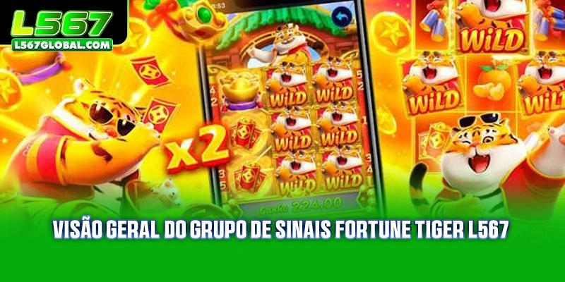 Visão geral do Grupo de Sinais Fortune Tiger L567